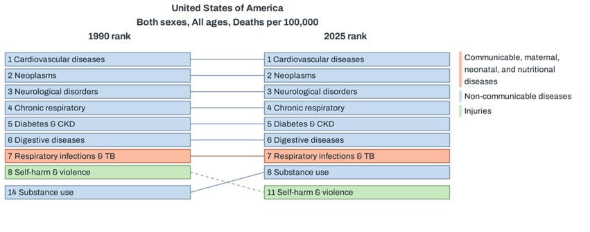 Figure 5. Changes in Leading Causes of Death in the United States: 1990 vs. 2025 (Deaths per 100,000 Population)
