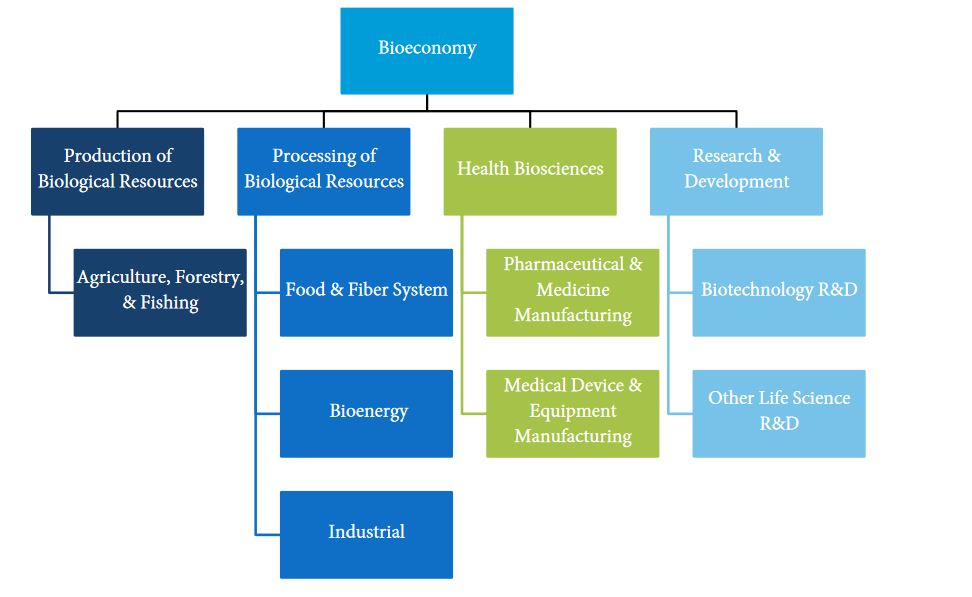 Southern Arizona Bioeconomy Components