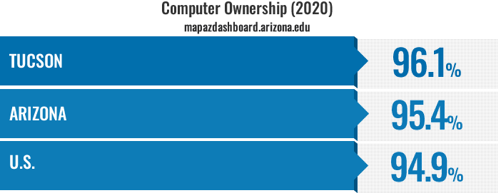Internet Access Infographic 2020