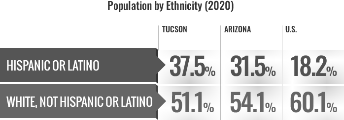 Population by Ethnicity Infographic 2020